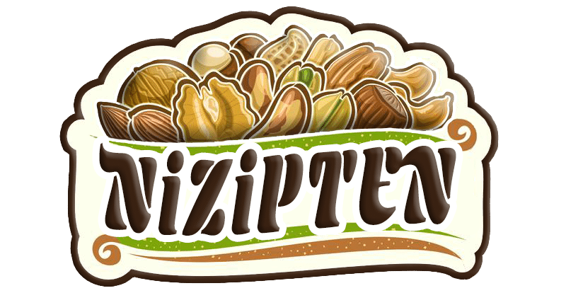 Nizipten